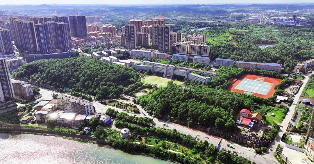 202506290942007493.jpg 202506290942007493.jpg